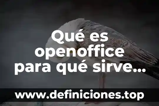 Que es una nota fórmula y para qué sirve 4 Qué es openoffice para qué sirve open office