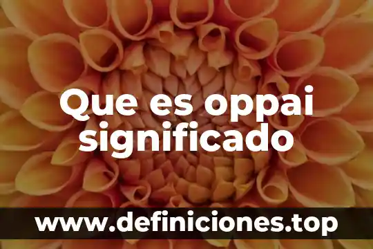 Que es oppai significado