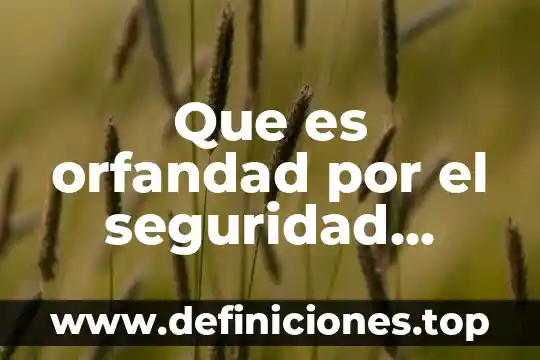 Que es orfandad por el seguridad social