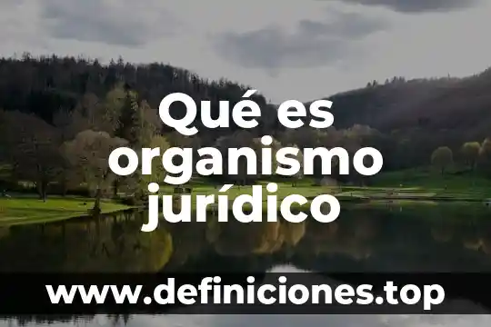 Qué es organismo jurídico