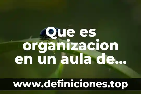 Que es la comunicacion efectiva en el aula 5 Que es organizacion en un aula de clases