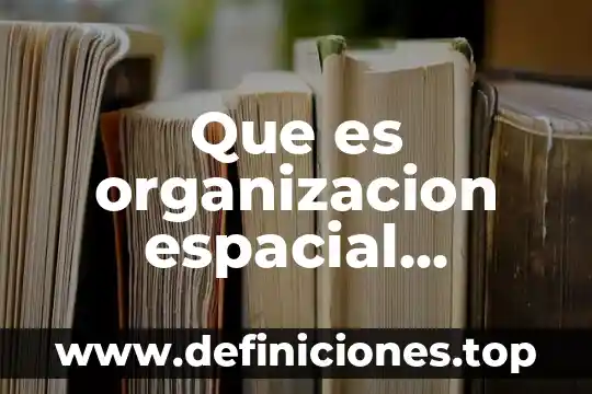 Organización civiles en México que es 8 Que es organizacion espacial arquitectura