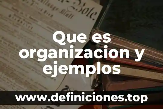 Que es organizacion y ejemplos