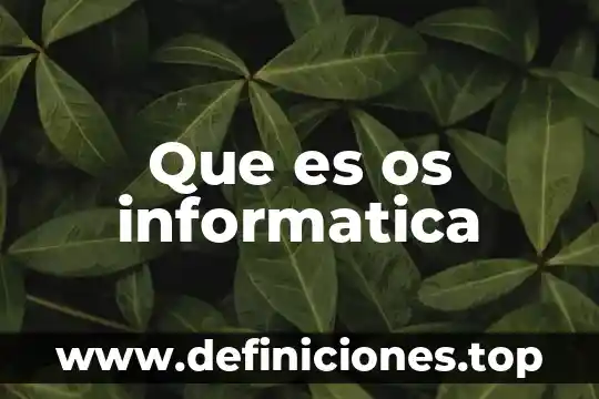 Que es des en informatica 5 Que es os informatica