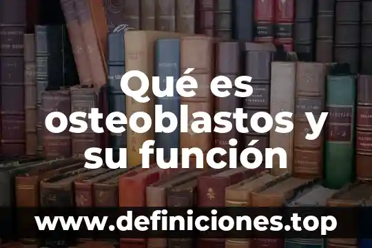 Qué es osteoblastos y su función