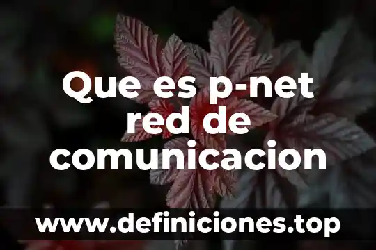 Que es la dni en mexico para sol 8 Que es p-net red de comunicacion