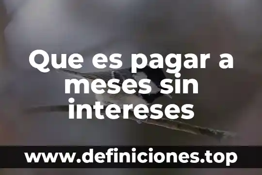 Intereses de periodo que es 4 Que es pagar a meses sin intereses