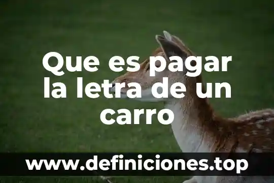 Que es el monto minimo a pagar 4 Que es pagar la letra de un carro