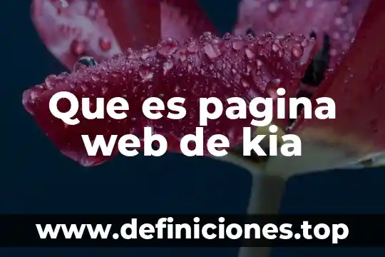 Que es la busqueda avanzada en un pagina web 5 Que es pagina web de kia
