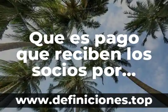 Que es el librador de pago 4 Que es pago que reciben los socios por invertir
