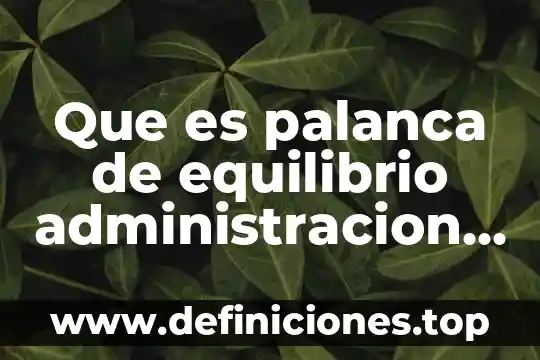 Que es una palanca y para q sirve 5 Que es palanca de equilibrio administracion financiera i
