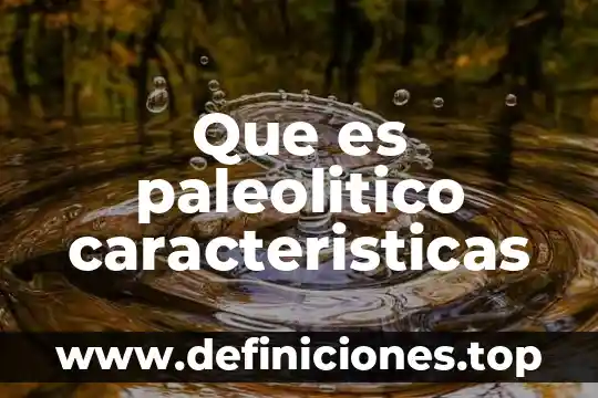 Que es paleolitico caracteristicas