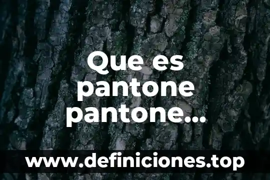 Qué es antropometría y cómo se aplica 7 Que es pantone pantone tambien aplica para homber