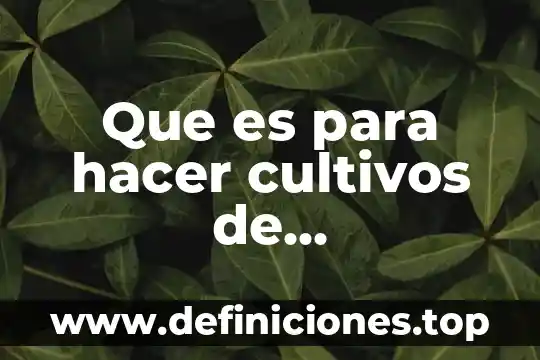 Que es altivez significado 6 Que es para hacer cultivos de microorganismos