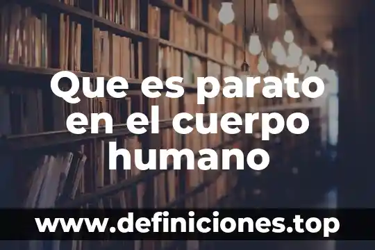 Que es parato en el cuerpo humano