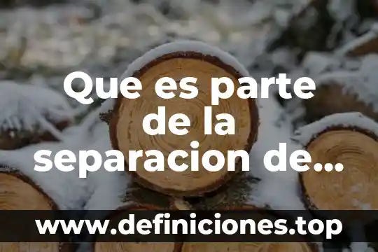 Que es una entrevistas a padres de familia psicologica 6 Que es parte de la separacion de los padres