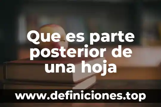 Que es parte posterior de una hoja