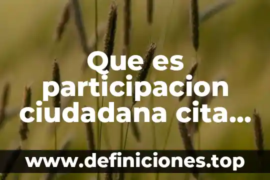 Que es participacion social dentro de una empresa 7 Que es participacion ciudadana cita ejemplos