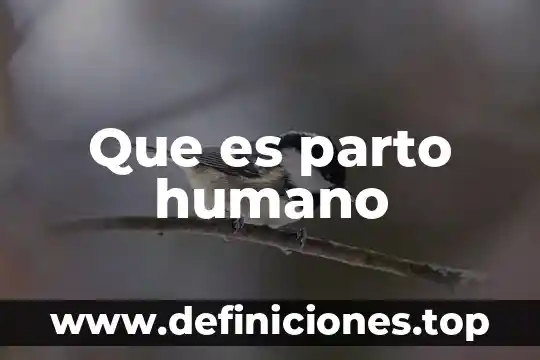 Que es parto pretermino 4 Que es parto humano