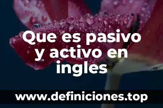 Que es un arroyo en ingles 5 Que es pasivo y activo en ingles