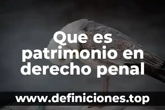 Que es patrimonio cultural material mueble 4 Que es patrimonio en derecho penal