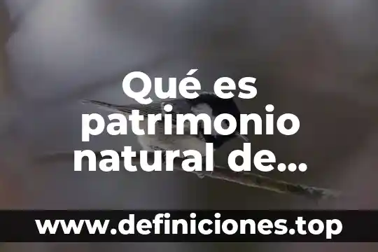 Qué es boja en la costa 8 Qué es patrimonio natural de Costa Rica