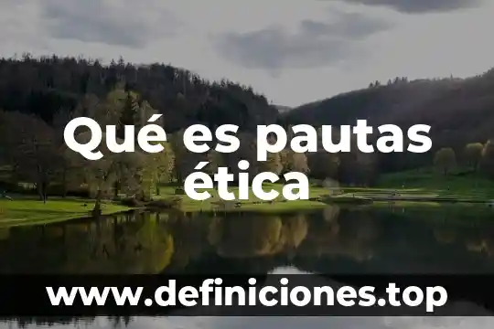 Qué es pautas ética