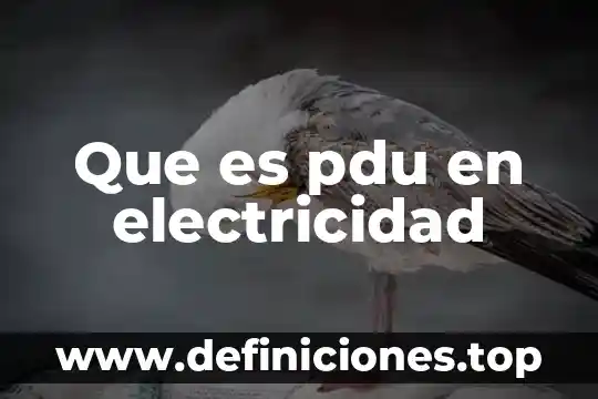 Que es la electricidad tema de primaria 5 Que es pdu en electricidad