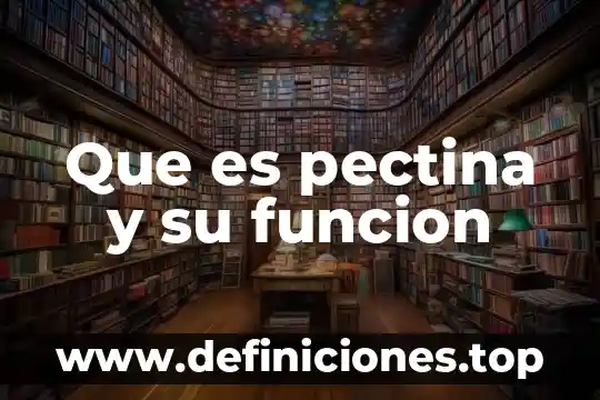 Que es hacer display 8 Que es pectina y su funcion
