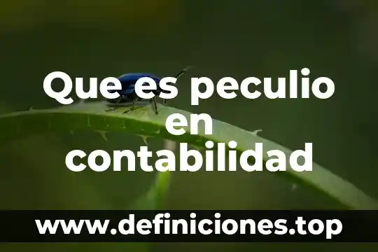 Qué es contabilidad contpaq 6 Que es peculio en contabilidad