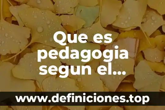 Declaración ante ministerio público que es 6 Que es pedagogia segun el ministerio de educacion