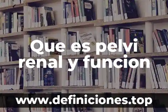 Que es tratamiento de conservacion de la funcion renal 5 Que es pelvi renal y funcion