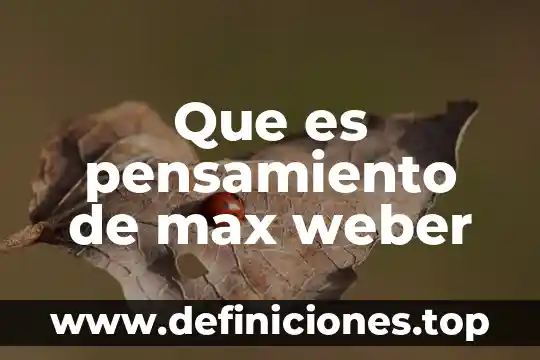 Que es la sociologia juridica para max weber 4 Que es pensamiento de max weber