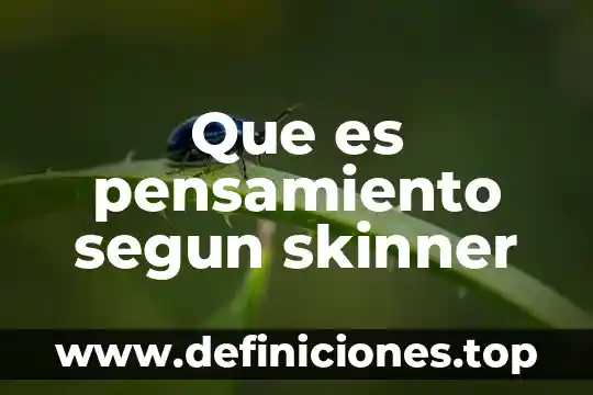 Que es la motivacion segun la administracion 7 Que es pensamiento segun skinner