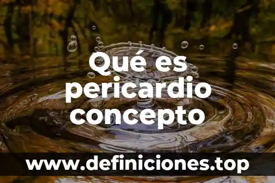 Qué es pericardio concepto