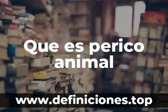 Que es perico animal