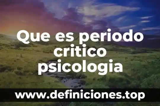 Que es periodo critico psicologia