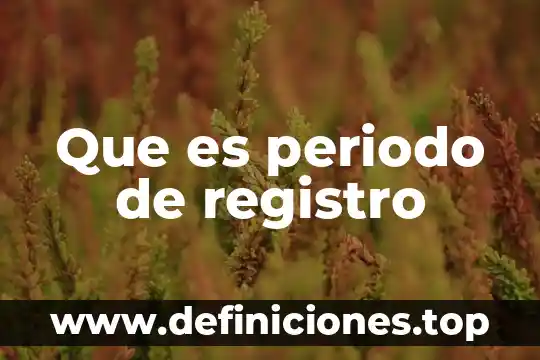 Que es un registro de oportinidada 4 Que es periodo de registro