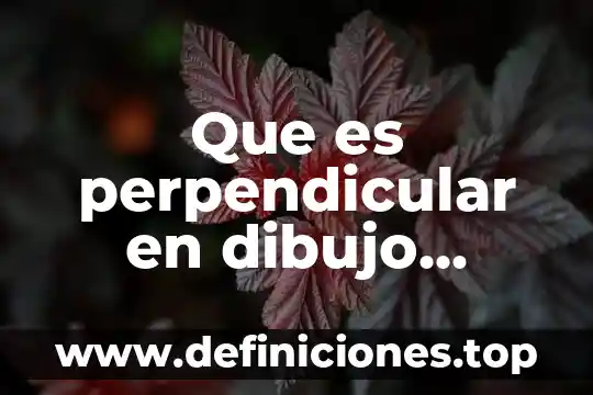 Que es un tecnico manejador de ap 5 Que es perpendicular en dibujo tecnico