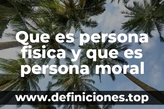 Que es una prueba en historia 4 Que es persona fisica y que es persona moral
