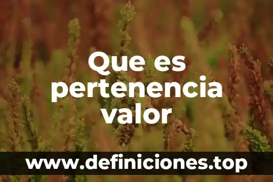 Que es pertenencia valor