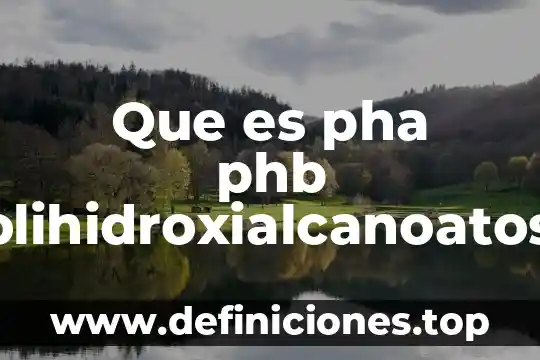 Qué es la electrización de los objetos 3 Que es pha phb polihidroxialcanoatos objetos