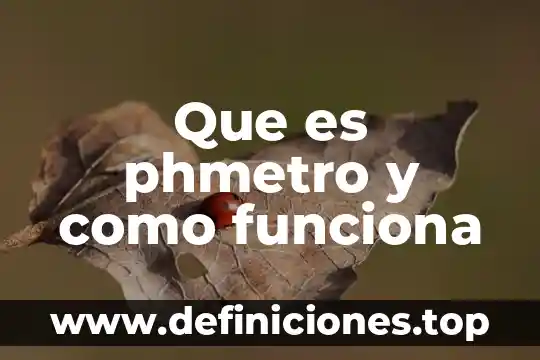 Que es phmetro y como funciona
