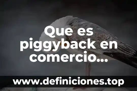 Que es piggyback en comercio internacional