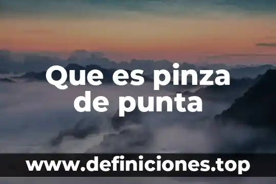 Que es una punta de brote 3 Que es pinza de punta