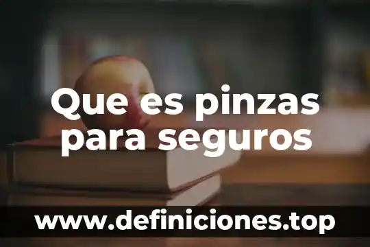 Qué es interculturales significado 6 Que es pinzas para seguros