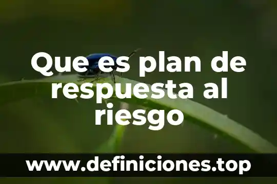Que es plan tactico de una escuela 6 Que es plan de respuesta al riesgo