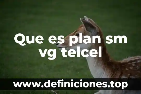 Que es un plan de accion alternativo 5 Que es plan sm vg telcel