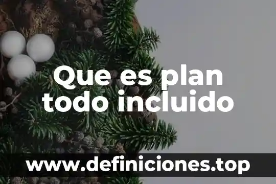 Que es la base de elementos que compone un todo 3 Que es plan todo incluido