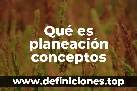 Tres conceptos de que es física 6 Qué es planeación conceptos